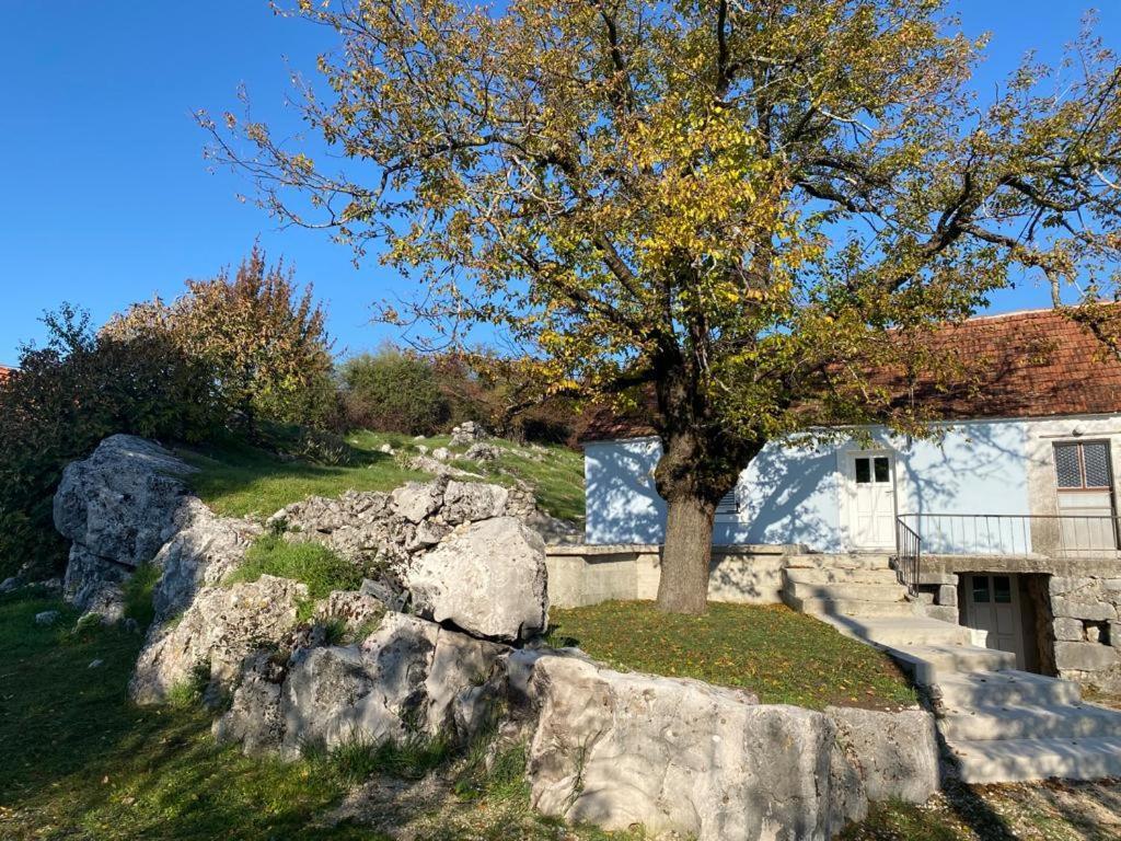 Back To Basics * Nikšić